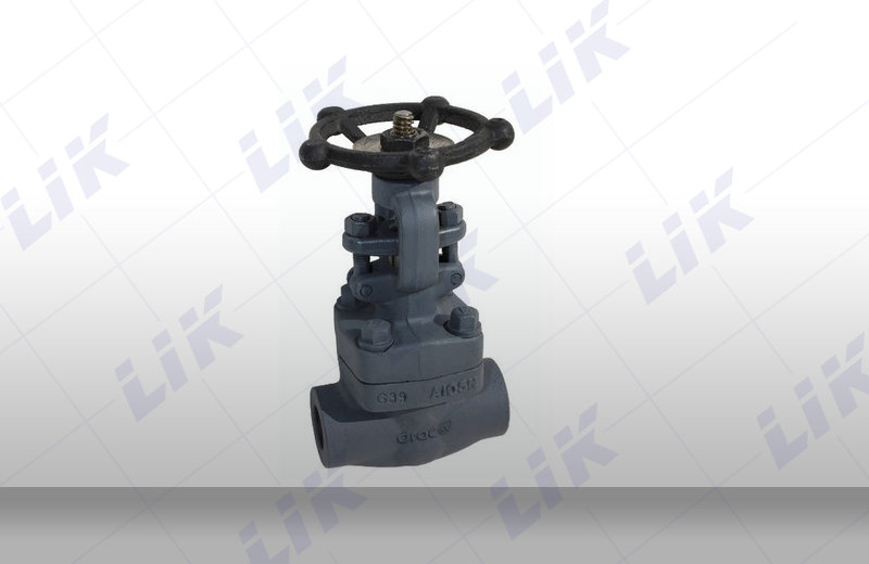 �M�ں����䓽�ֹ�y